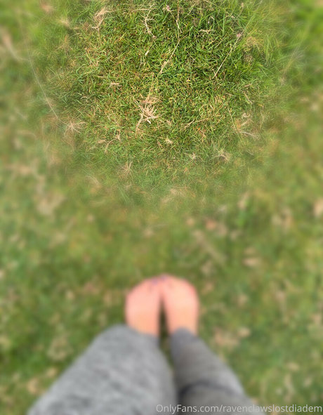 Ravenclawslostdiadem photo 51