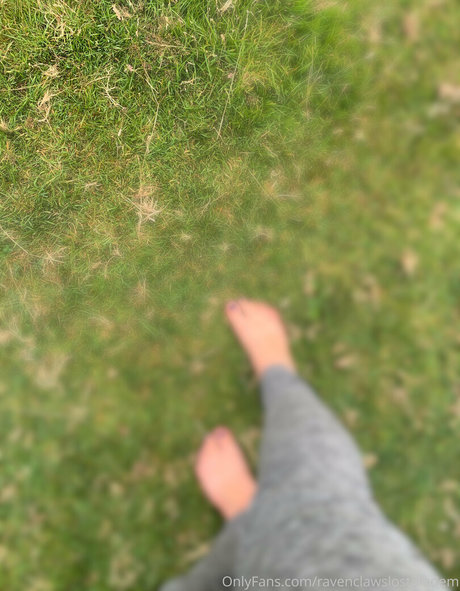 Ravenclawslostdiadem photo 52