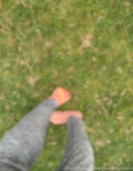 Ravenclawslostdiadem photo 53