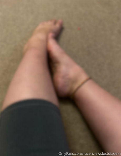 Ravenclawslostdiadem photo 63