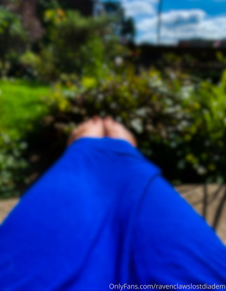 Ravenclawslostdiadem photo 67