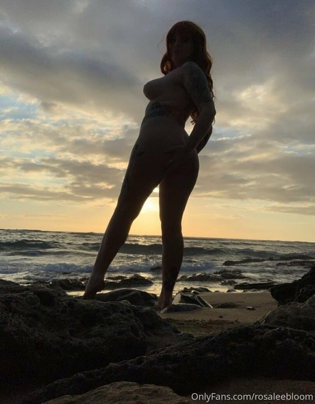 Rosamagnoliaxo photo 45