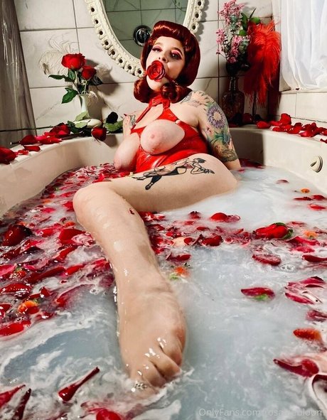 Rosamagnoliaxo photo 89