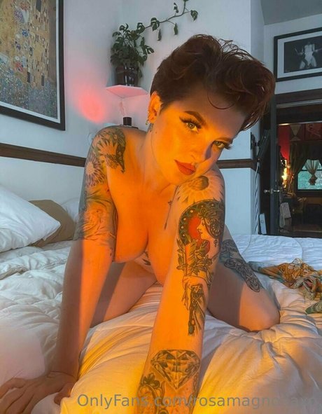 Rosamagnoliaxo photo 105