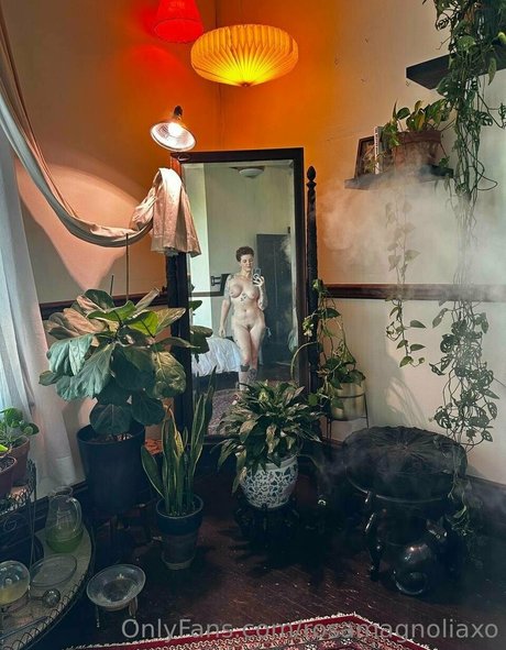 Rosamagnoliaxo photo 161