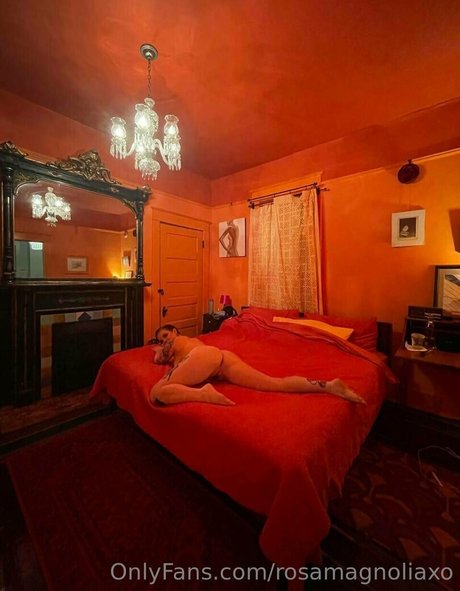 Rosamagnoliaxo photo 211