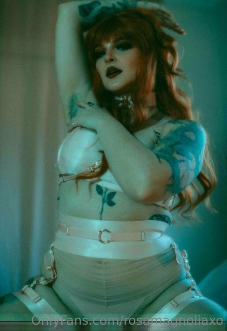 Rosamagnoliaxo photo 227