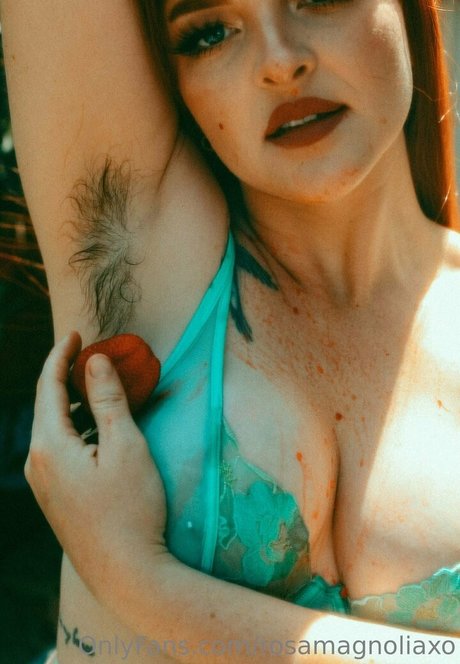 Rosamagnoliaxo photo 333