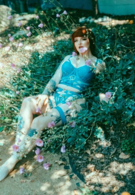 Rosamagnoliaxo photo 381