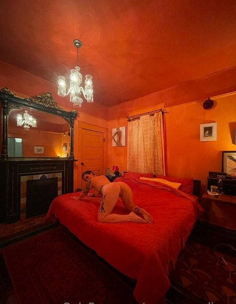Rosamagnoliaxo photo 408