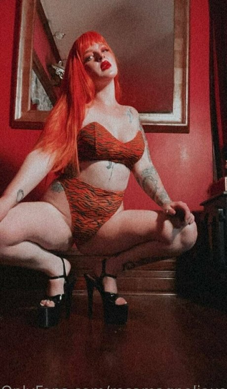 Rosamagnoliaxo photo 423