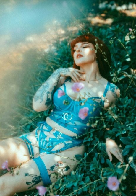 Rosamagnoliaxo photo 428