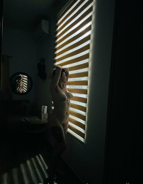 Rosamagnoliaxo photo 450
