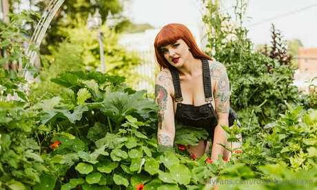 Rosamagnoliaxo photo 501