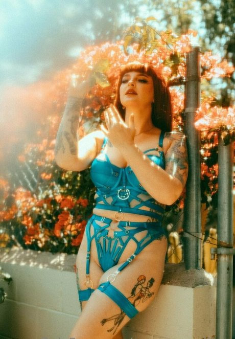 Rosamagnoliaxo photo 533