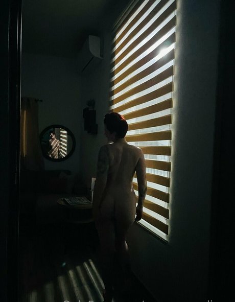 Rosamagnoliaxo photo 539