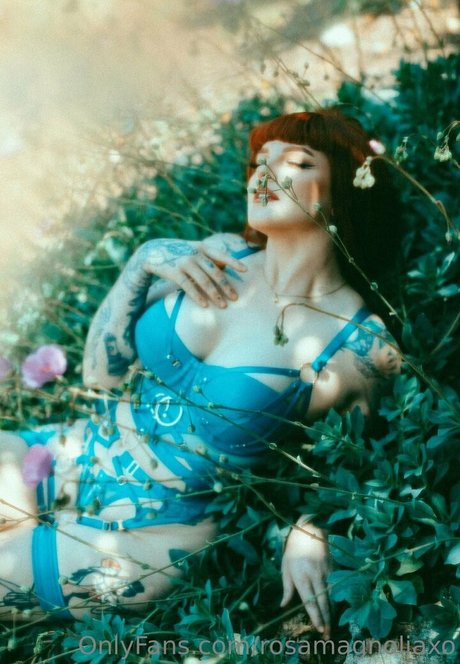 Rosamagnoliaxo photo 543