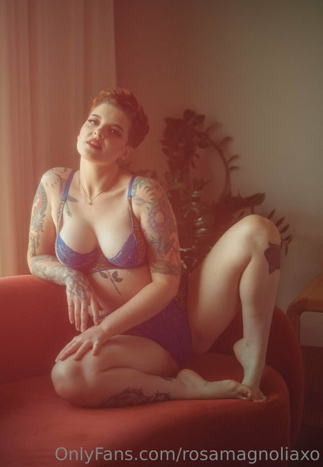 Rosamagnoliaxo photo 559