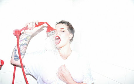Rosamagnoliaxo photo 561