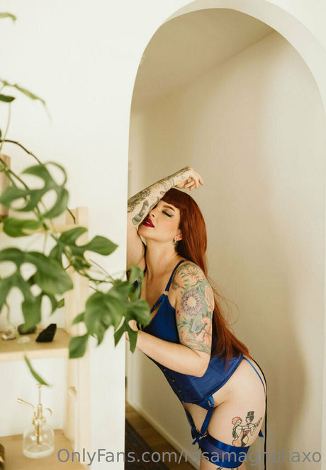 Rosamagnoliaxo photo 577