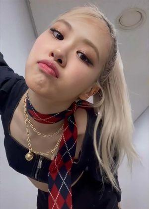 Rosé photo 6