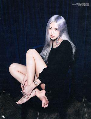 Rosé photo 15