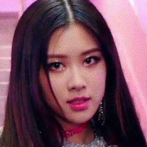 Profile photo of Rosé