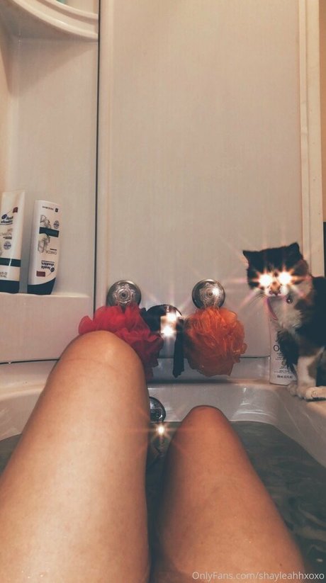 Shayleahhxoxo photo 46
