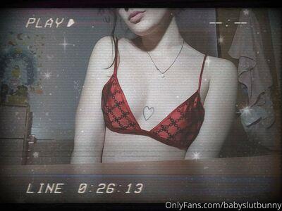 silkiepuppy photo 74