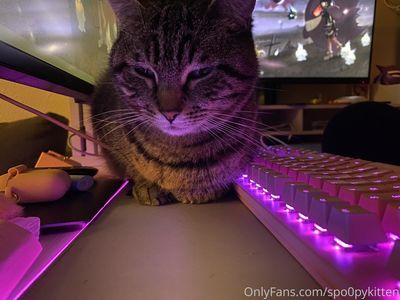 spo0pykitten photo 26