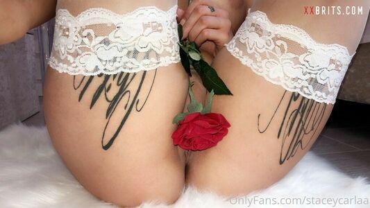 Stacey Carlaa photo 293