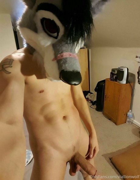 Stallionwolf photo 1