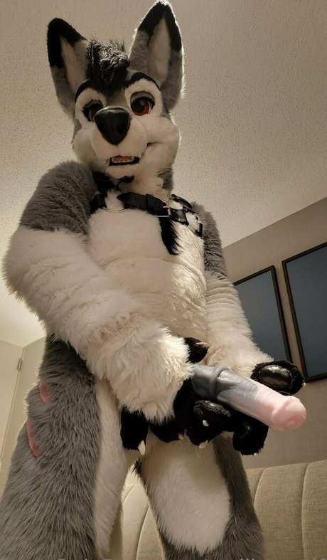 Stallionwolf photo 3
