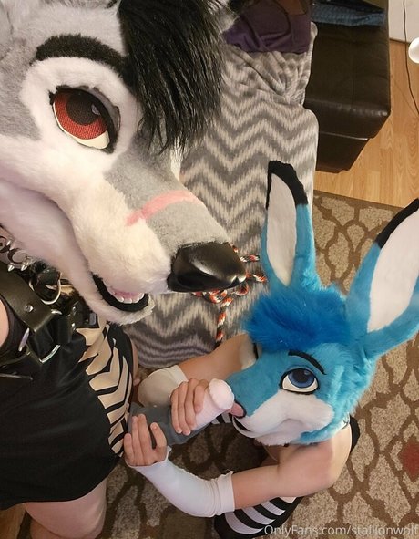Stallionwolf photo 4