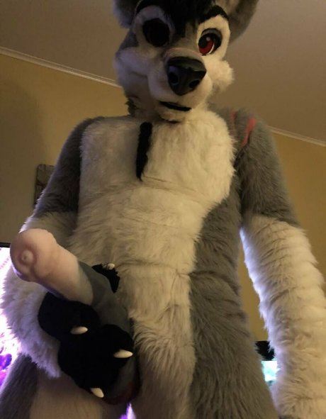 Stallionwolf photo 11
