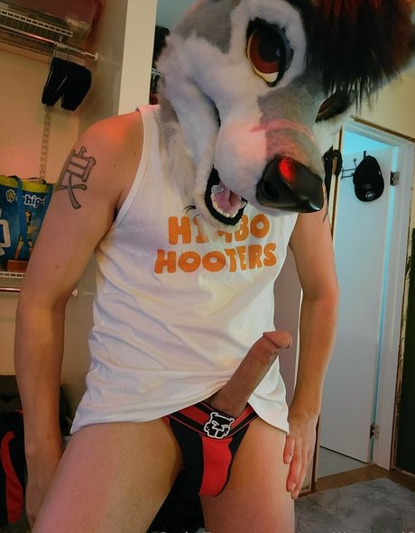 Stallionwolf photo 23