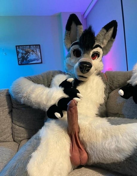 Stallionwolf photo 27