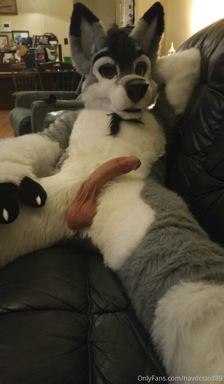 Stallionwolf photo 29