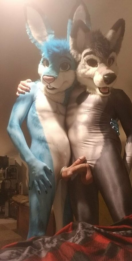 Stallionwolf photo 30