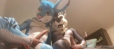 Stallionwolf photo 31