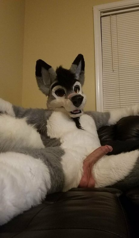 Stallionwolf photo 32