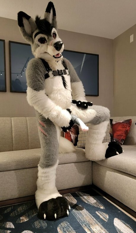 Stallionwolf photo 38