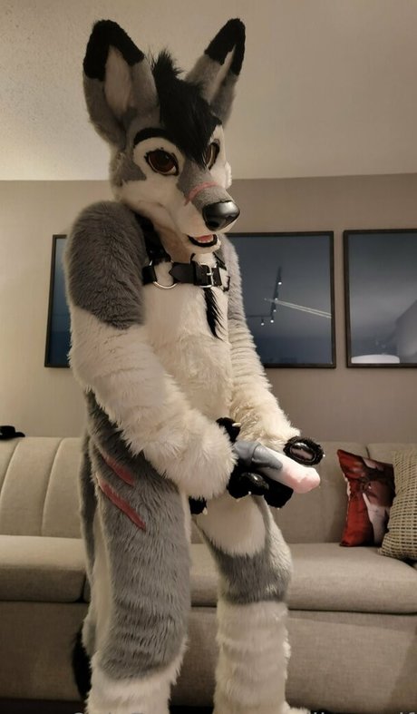 Stallionwolf photo 40