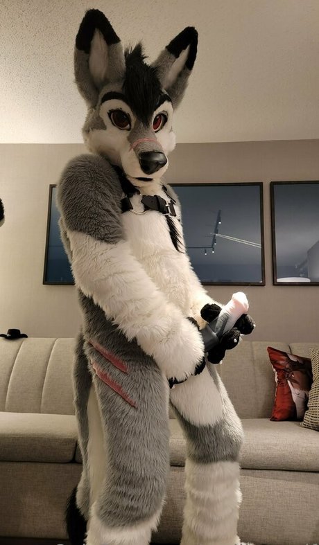 Stallionwolf photo 41