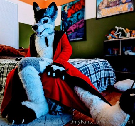 Stallionwolf photo 45