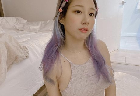 Starsmitten photo 377