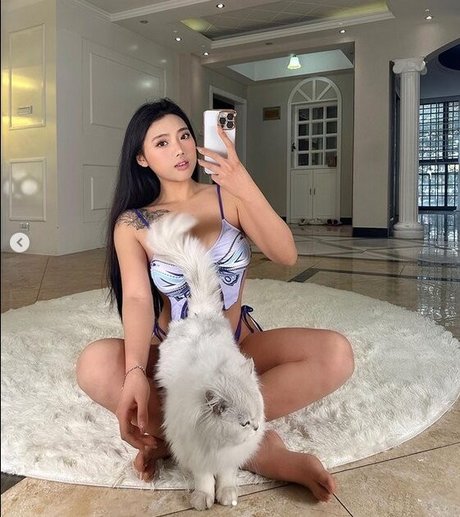 Stella Xu photo 31