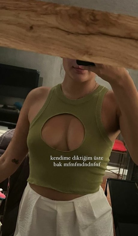 Suecuk photo 18