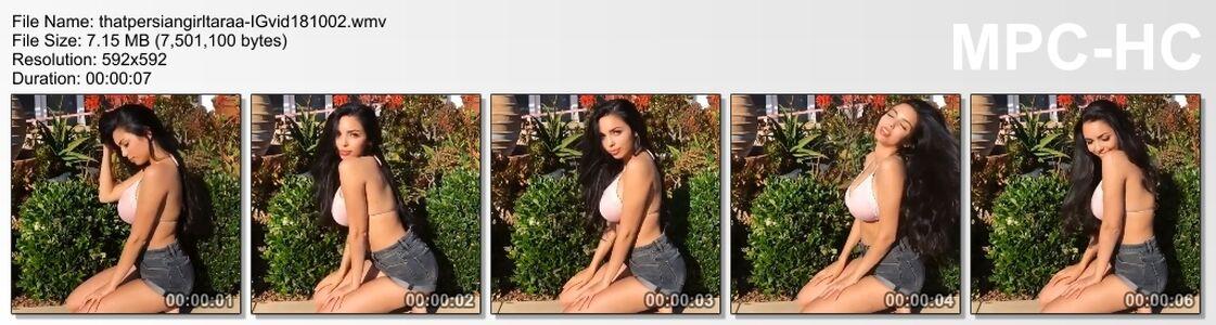 Tara Yazdi photo 447