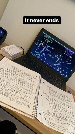 Tara Yazdi photo 448